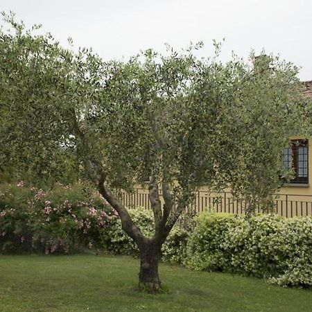 Agriturismo Scuderie Della Contea Sutri Exterior foto
